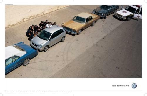 polo pequeno pero resistenteb.jpg (20826 bytes)